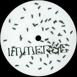 immerse001a