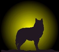 wolfgelb.jpg