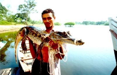 kroko.jpg 32154 bytes